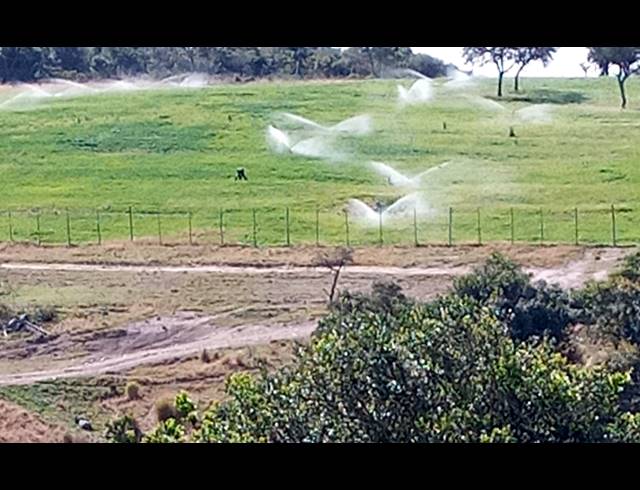 657HA FARM FOR SALE IN KOMGA RURAL
